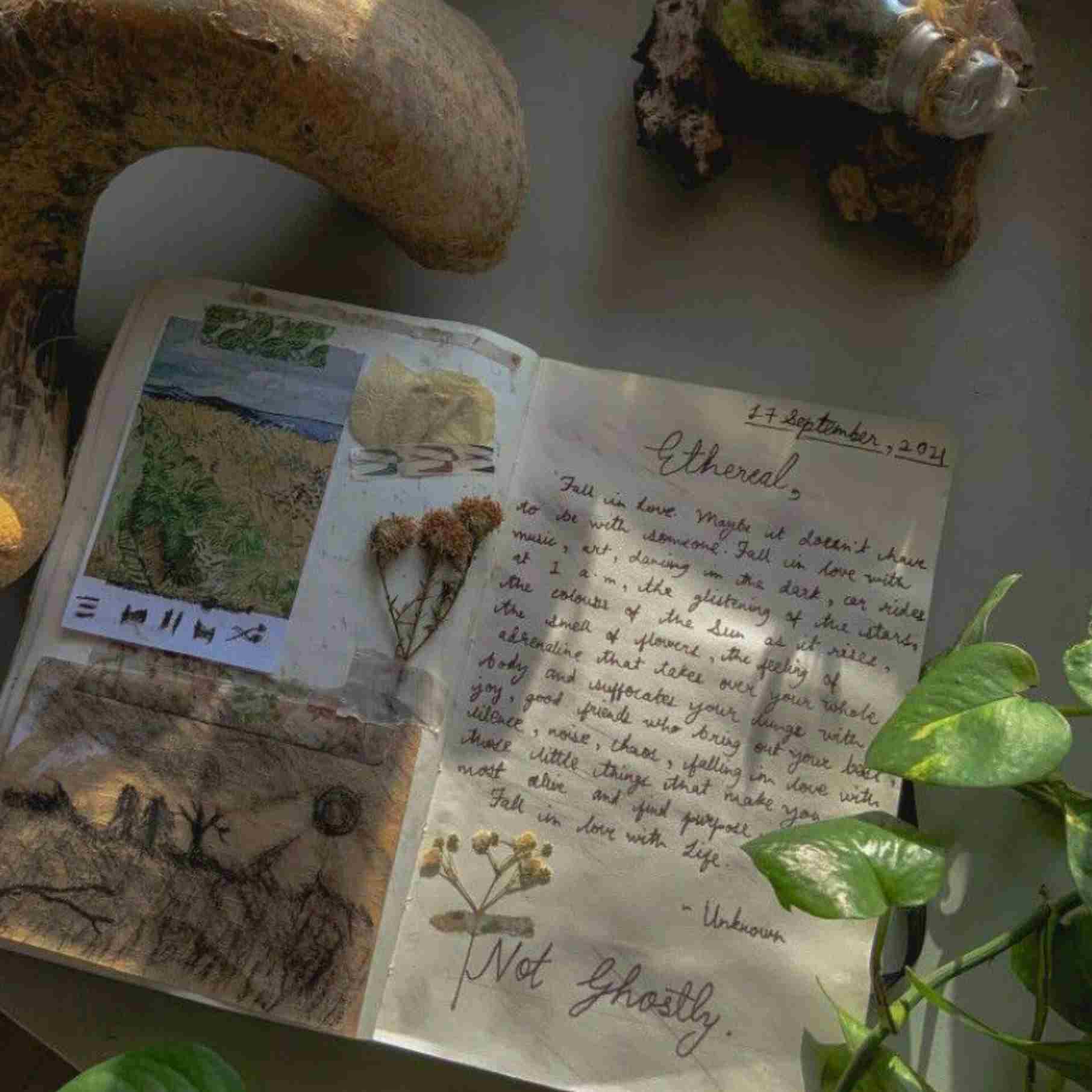 آهنگ جدید تو کدوم از این گلایی رز لاله نسترن